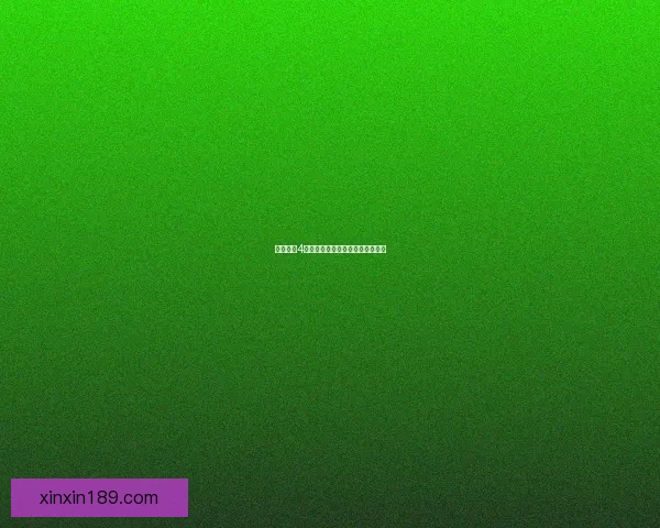 侠盗飞车4加钱秘籍详解及使用方法完全指南